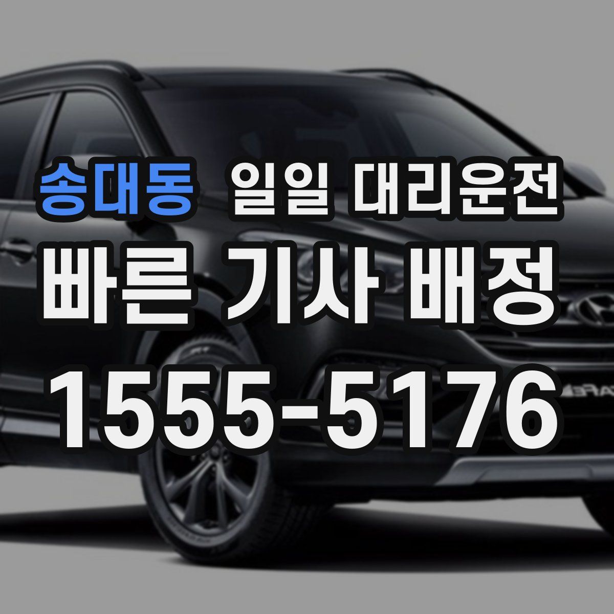 송대동 일일 대리운전