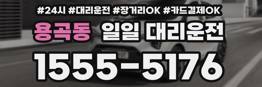 용곡동 일일 대리운전
