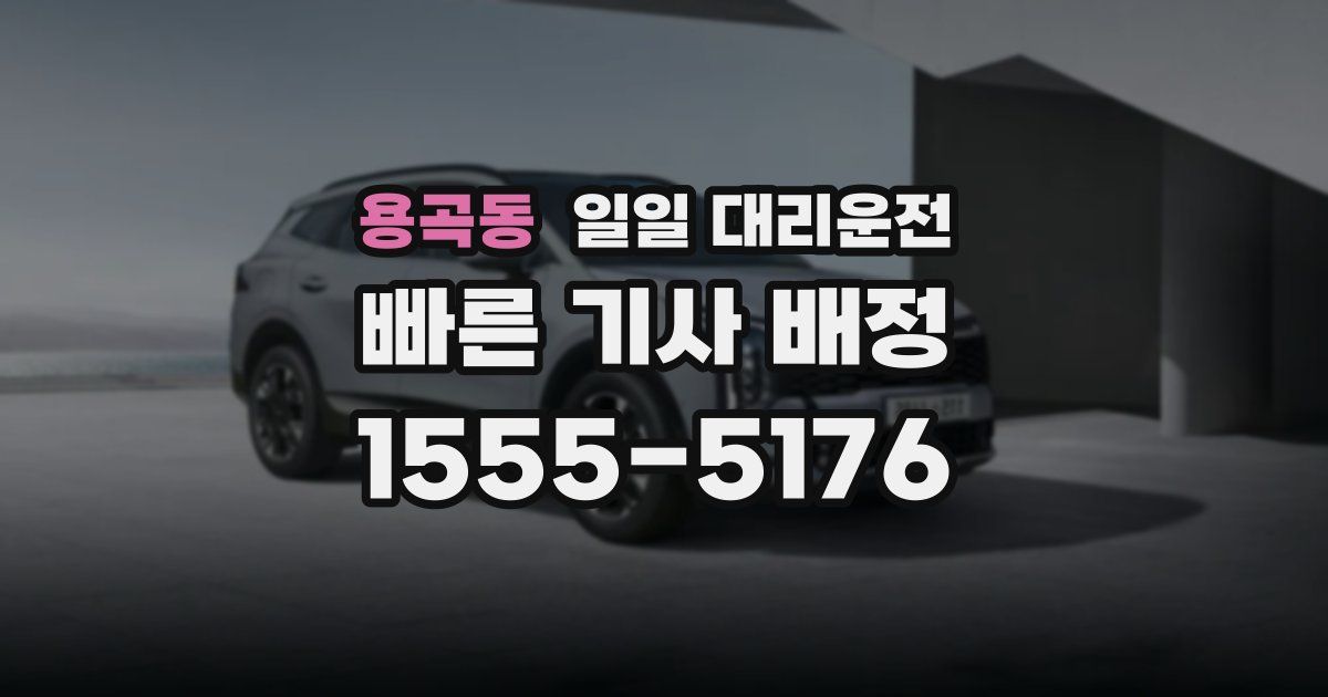 용곡동 일일 대리운전