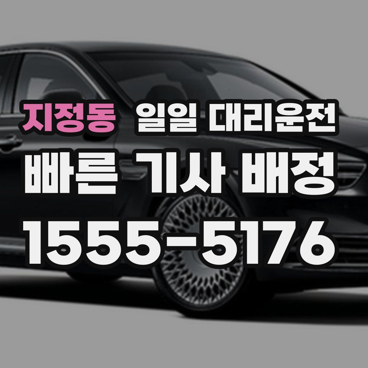 지정동 일일 대리운전