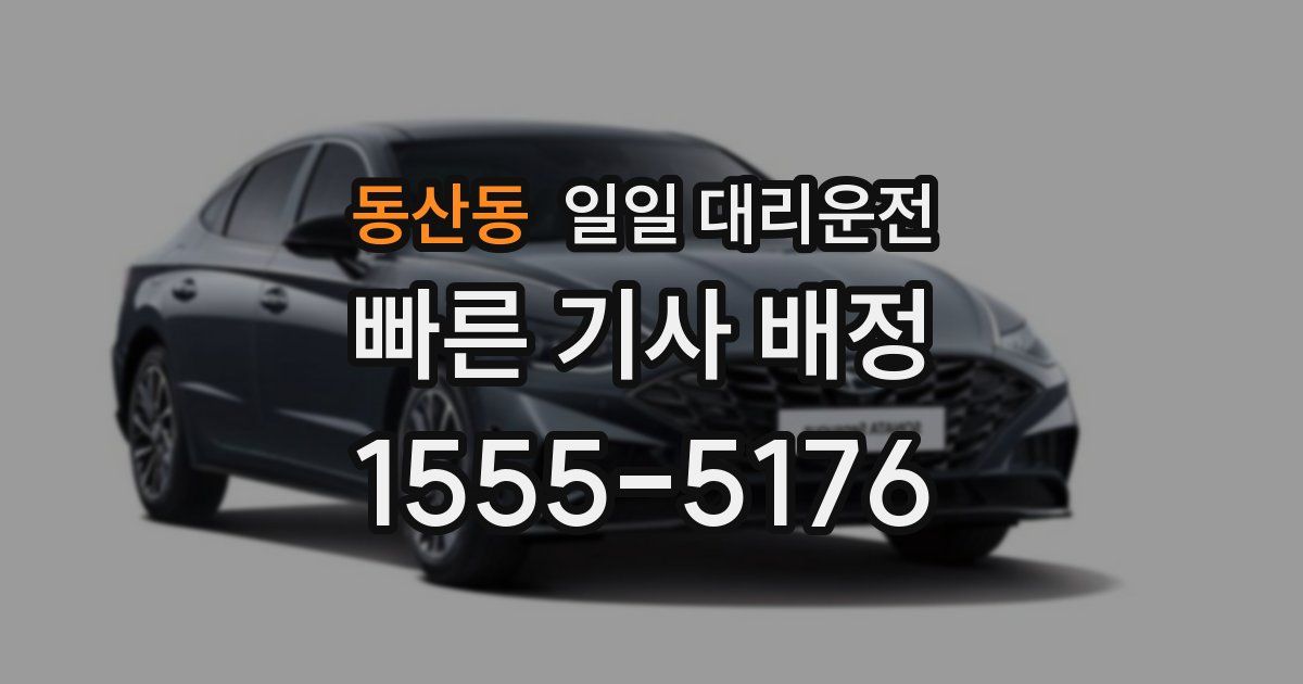 동산동 일일 대리운전