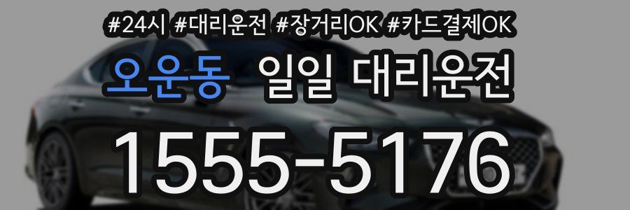 오운동 일일 대리운전
