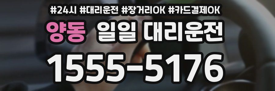 양동 일일 대리운전