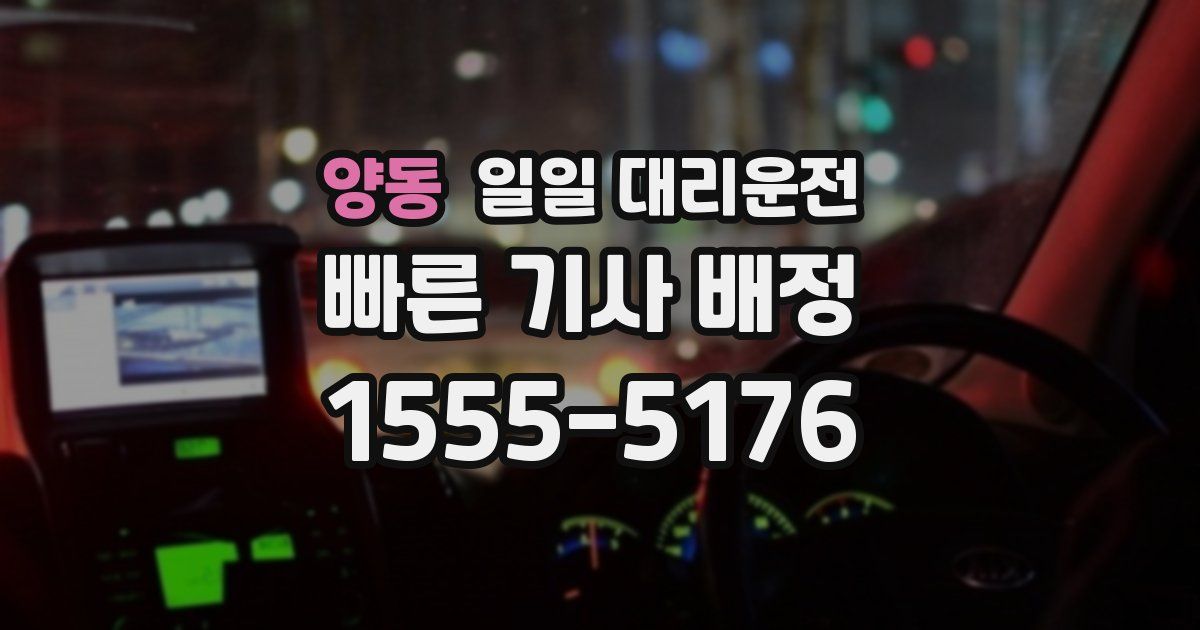 양동 일일 대리운전