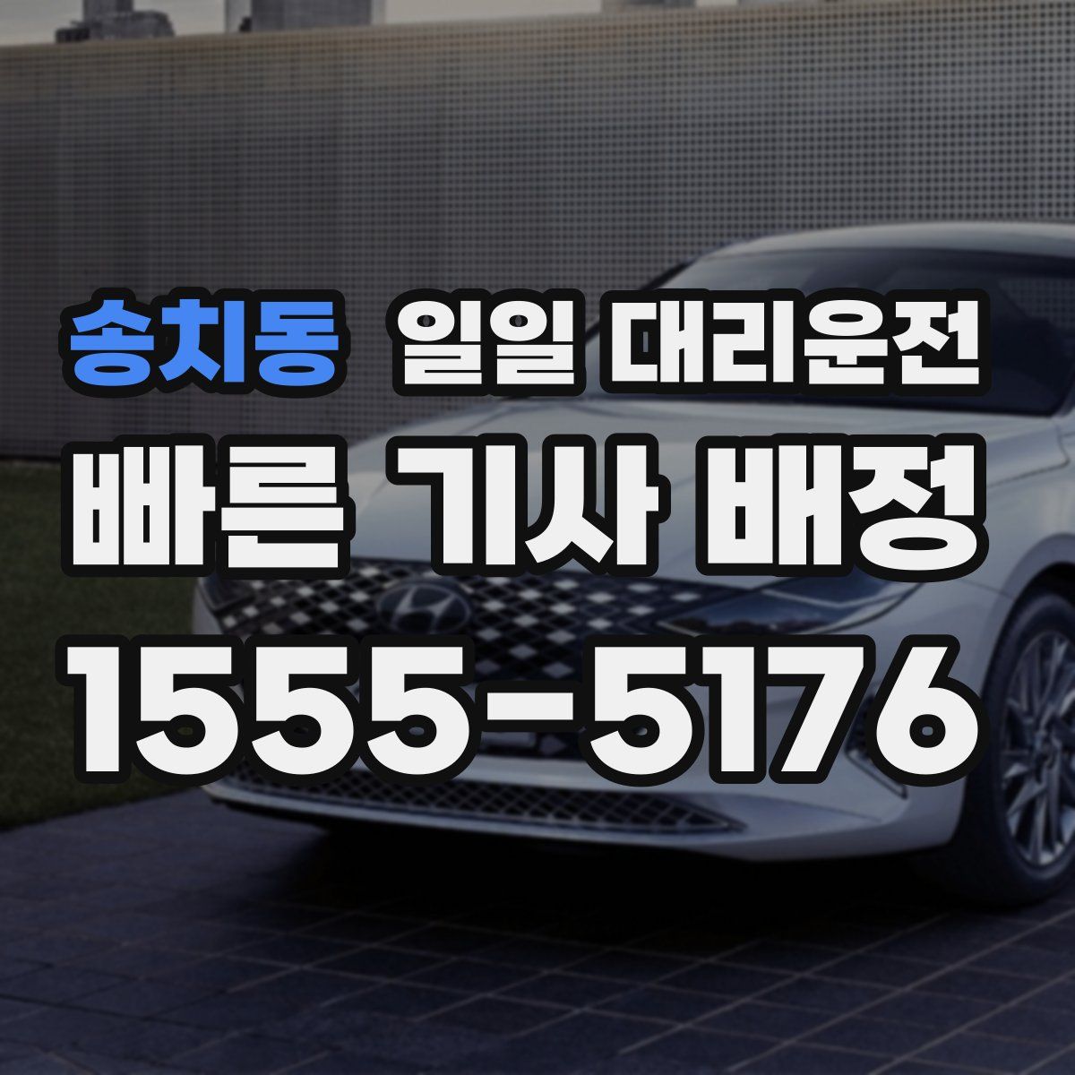 송치동 일일 대리운전