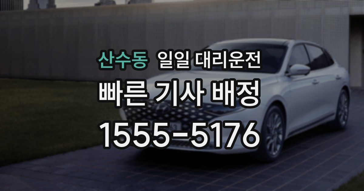 산수동 일일 대리운전