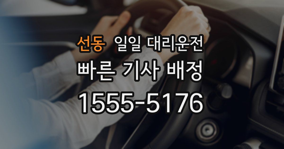 선동 일일 대리운전