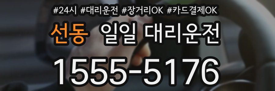 선동 일일 대리운전