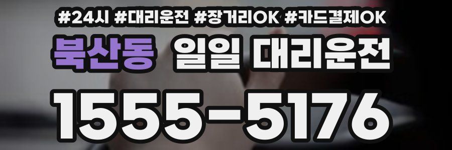 북산동 일일 대리운전