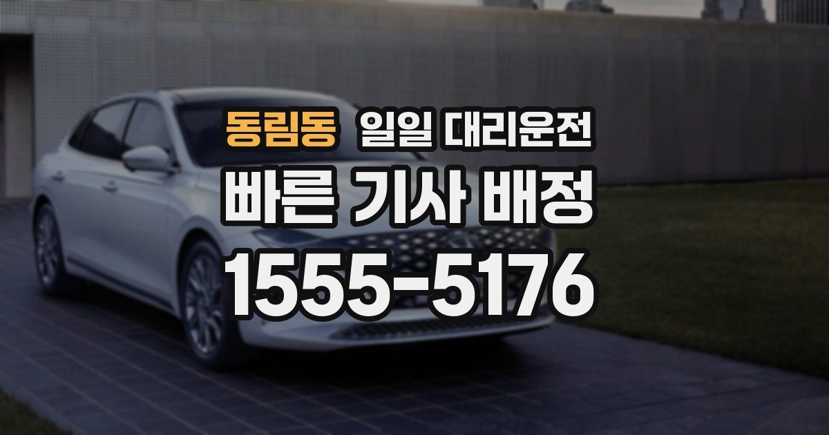 동림동 일일 대리운전