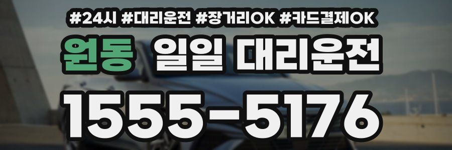 원동 일일 대리운전