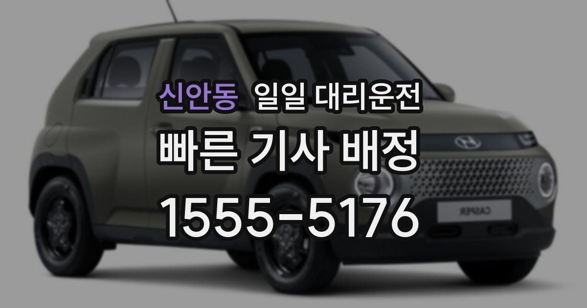 신안동 일일 대리운전