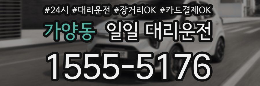 가양동 일일 대리운전