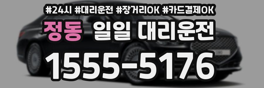 정동 일일 대리운전
