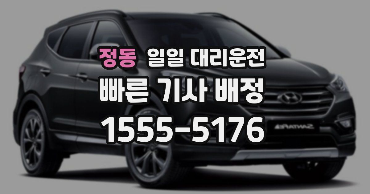정동 일일 대리운전
