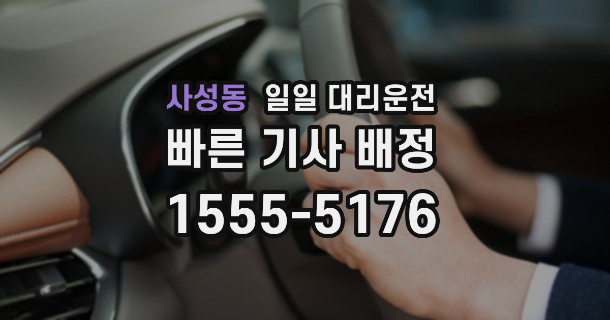 사성동 일일 대리운전
