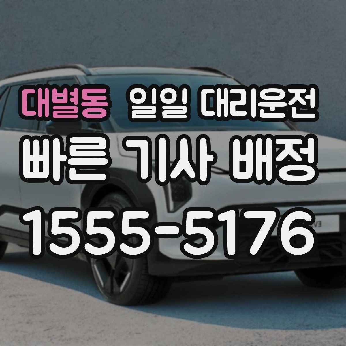 대별동 일일 대리운전