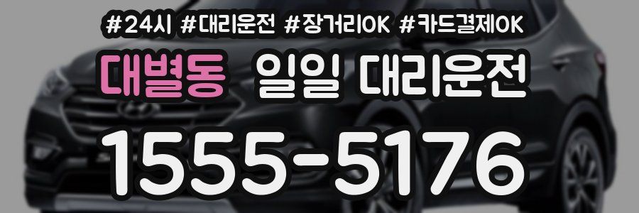 대별동 일일 대리운전