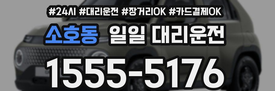 소호동 일일 대리운전