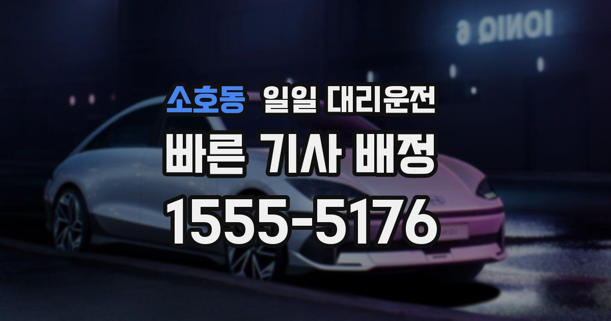 소호동 일일 대리운전