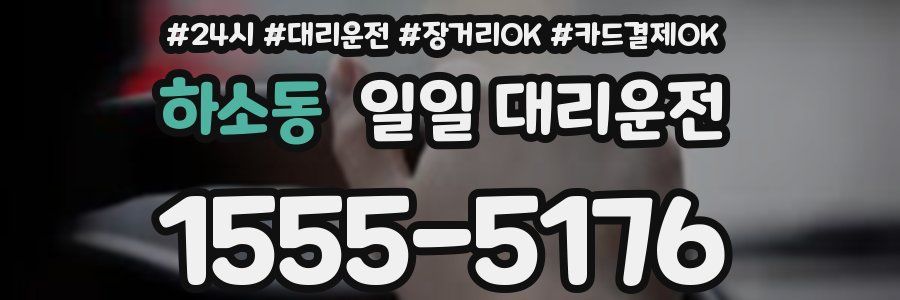 하소동 일일 대리운전