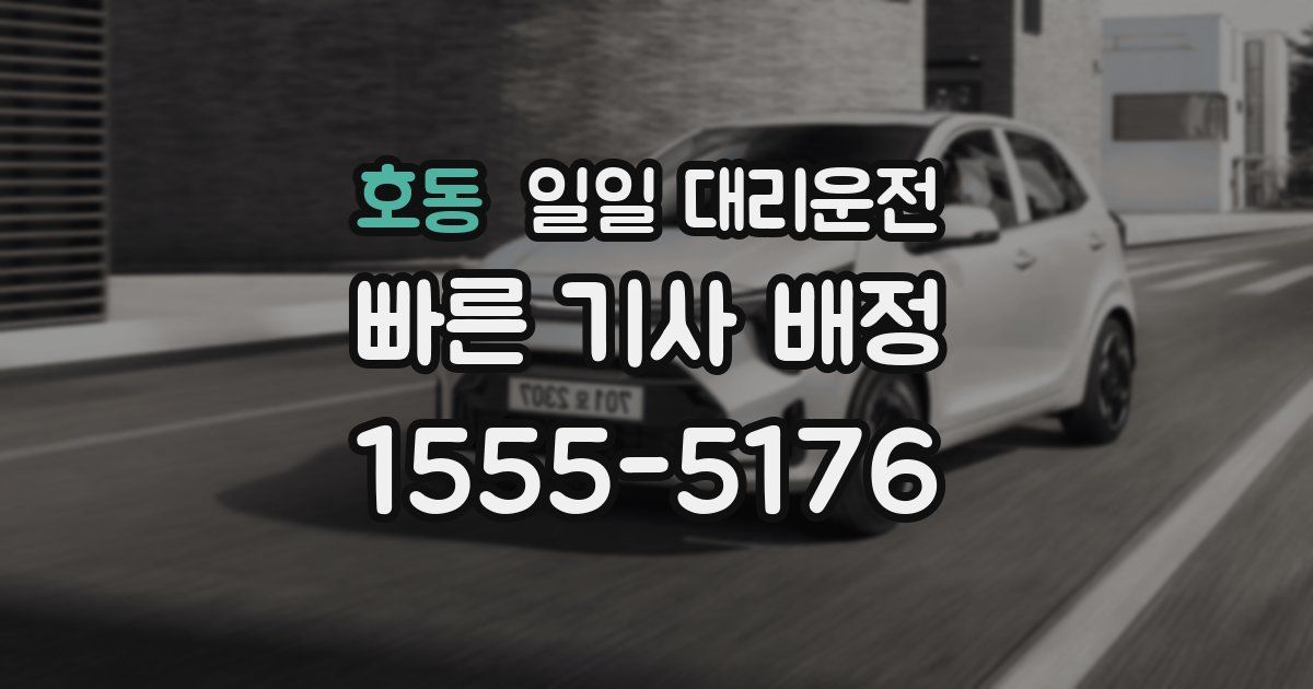 호동 일일 대리운전