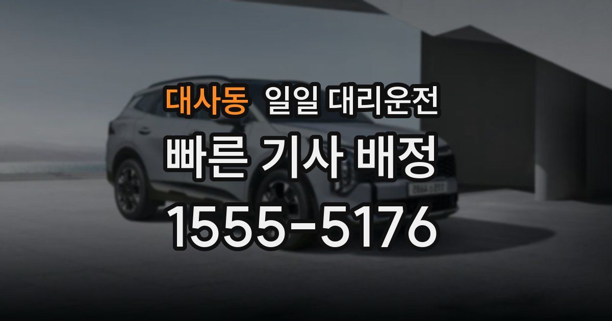 대사동 일일 대리운전