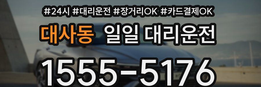 대사동 일일 대리운전