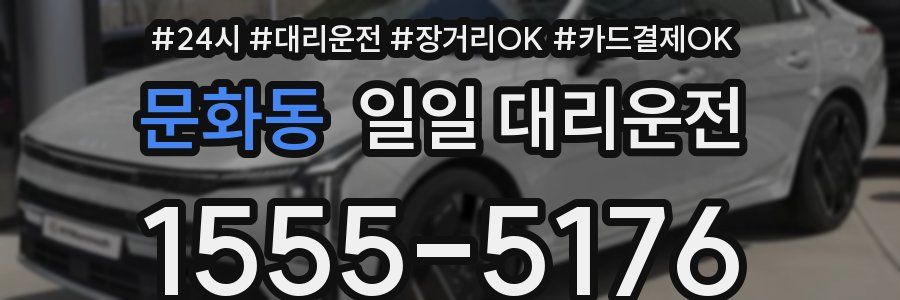 문화동 일일 대리운전