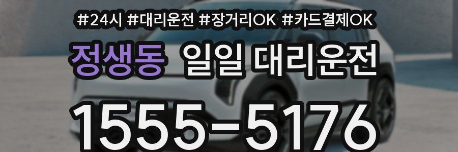 정생동 일일 대리운전