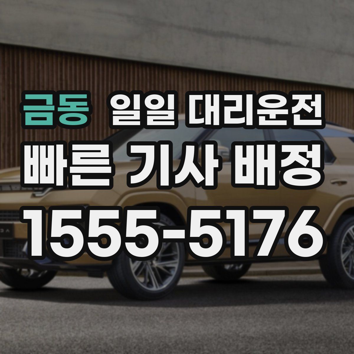 금동 일일 대리운전
