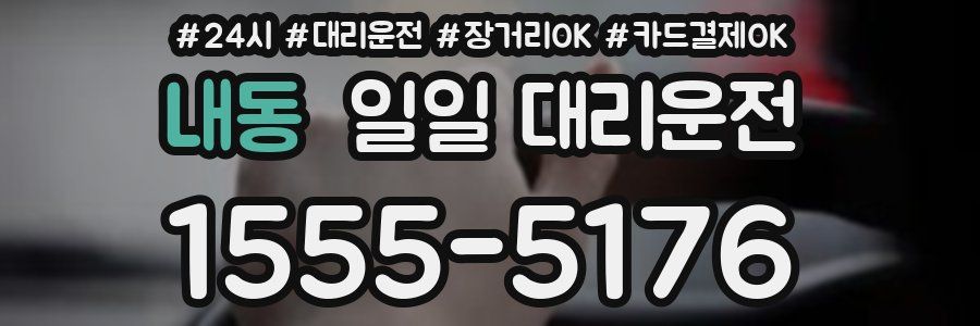 내동 일일 대리운전