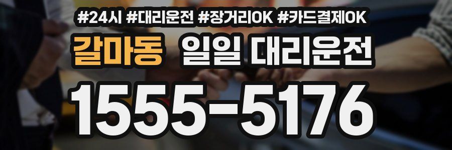 갈마동 일일 대리운전