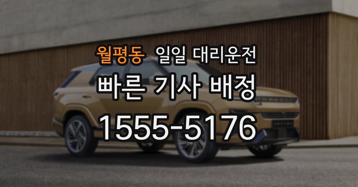 월평동 일일 대리운전