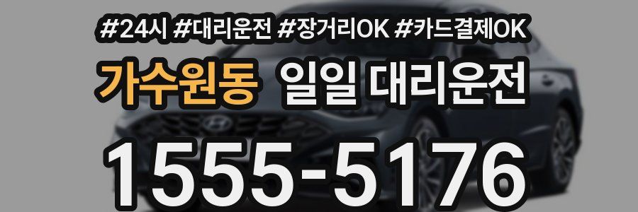 가수원동 일일 대리운전