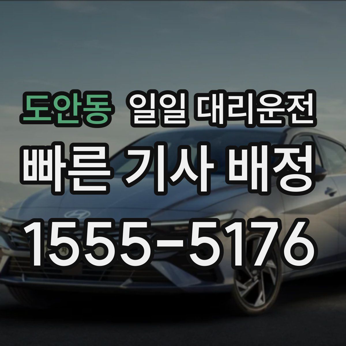 도안동 일일 대리운전
