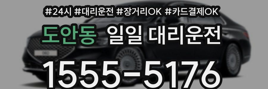 도안동 일일 대리운전
