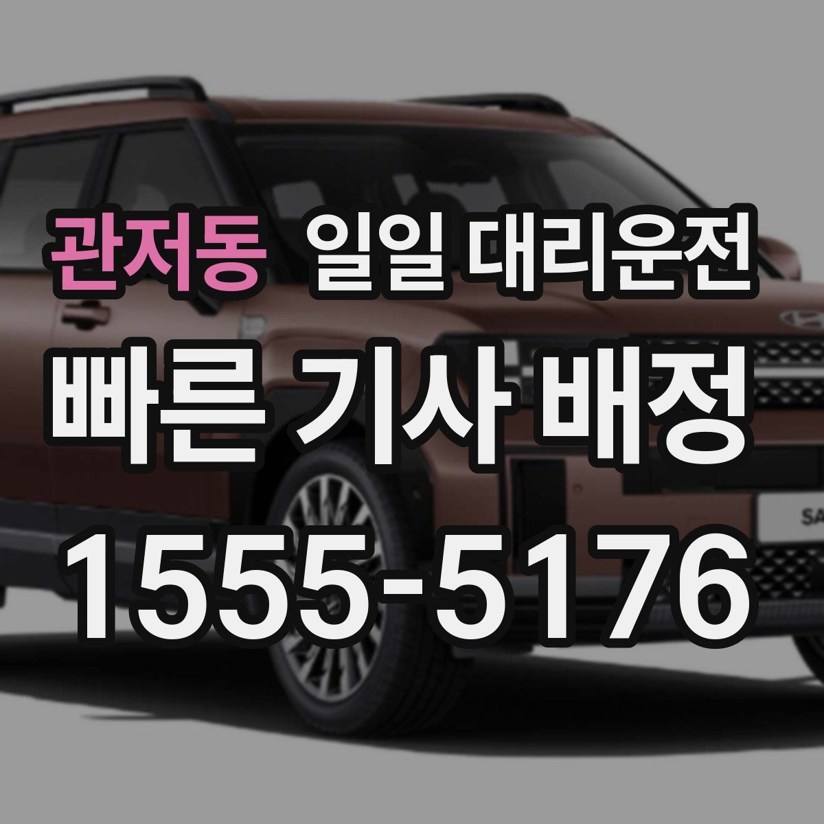 관저동 일일 대리운전