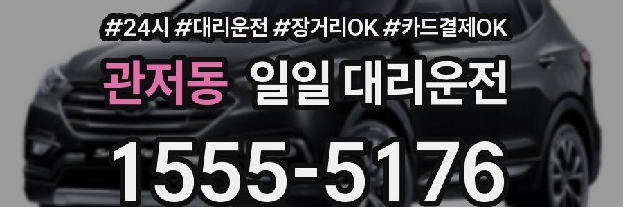관저동 일일 대리운전