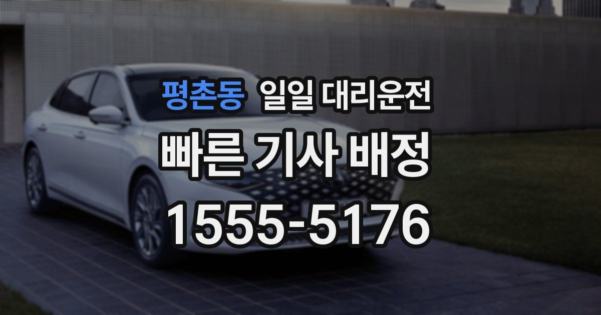 평촌동 일일 대리운전