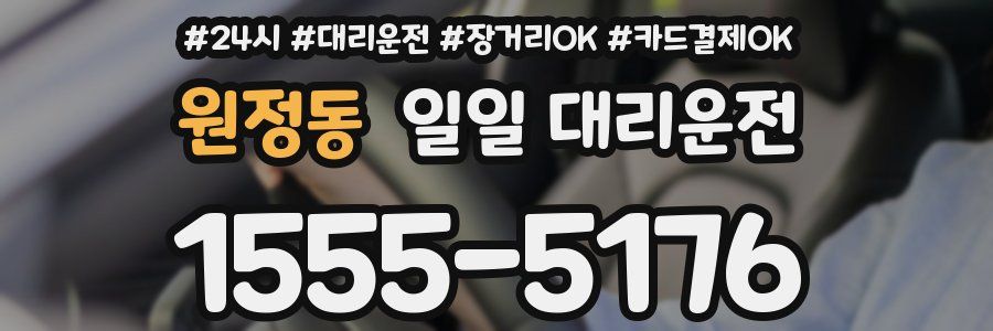원정동 일일 대리운전