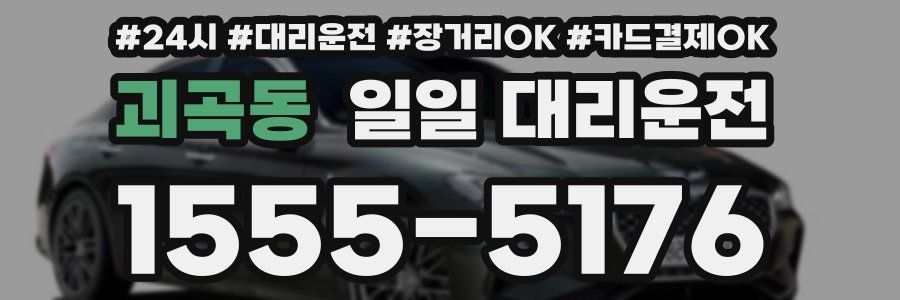 괴곡동 일일 대리운전