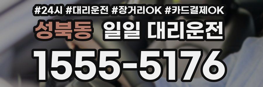 성북동 일일 대리운전
