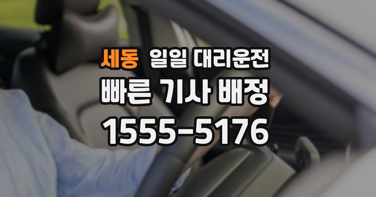 세동 일일 대리운전