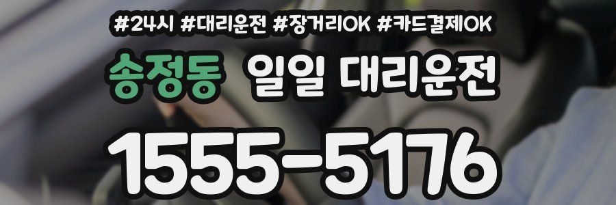 송정동 일일 대리운전