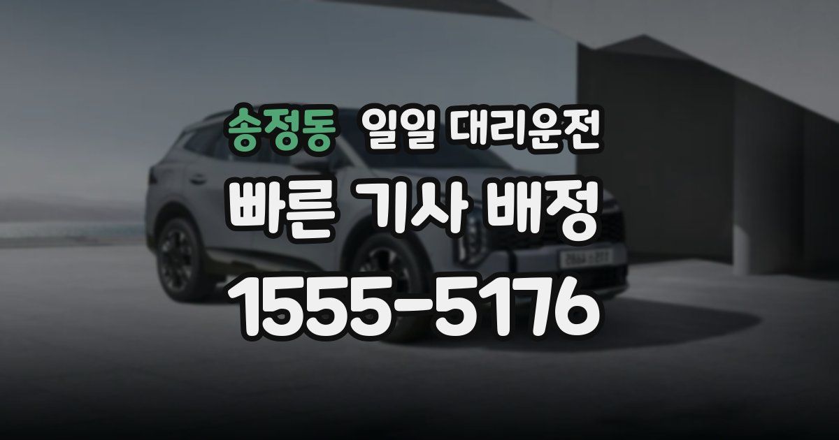 송정동 일일 대리운전