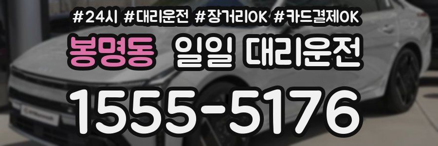 봉명동 일일 대리운전