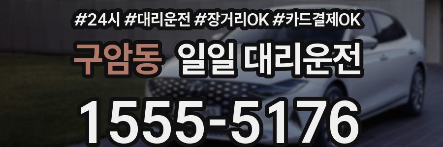 구암동 일일 대리운전