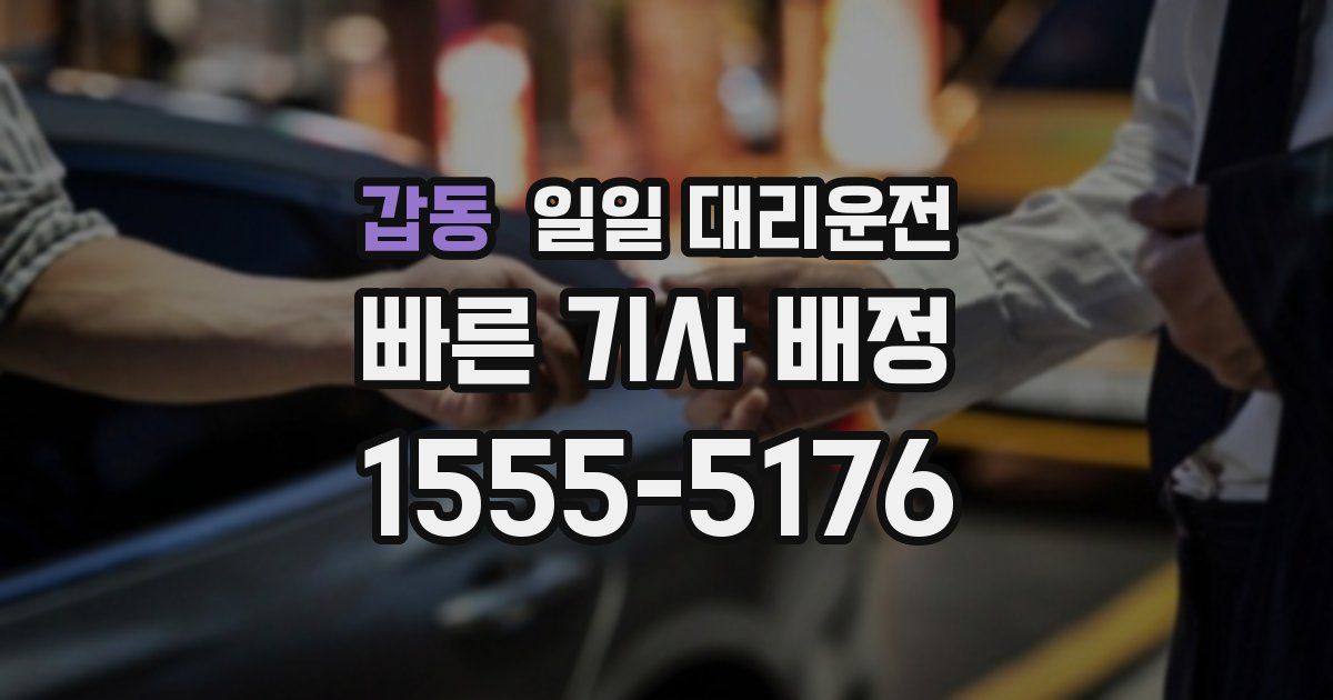 갑동 일일 대리운전