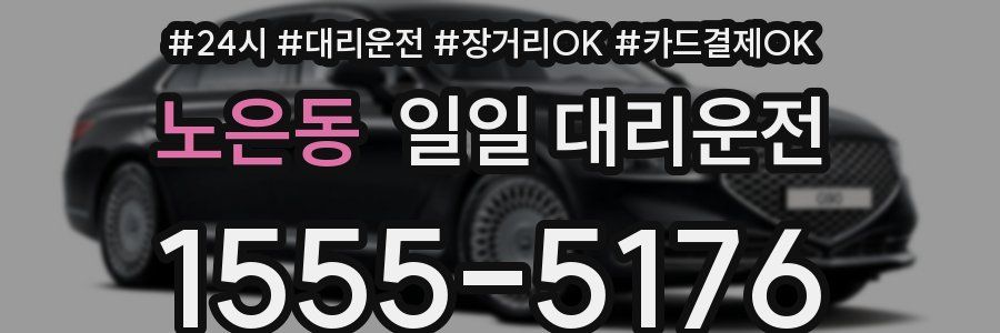 노은동 일일 대리운전